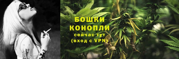 сатива Елабуга