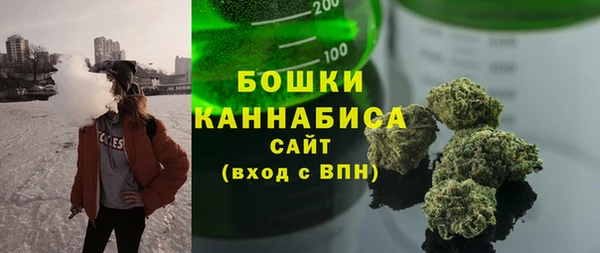 сатива Елабуга