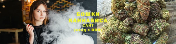 сатива Елабуга