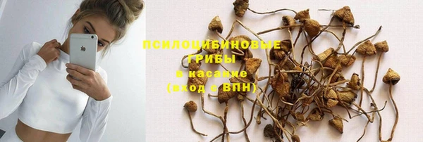 сатива Заволжск