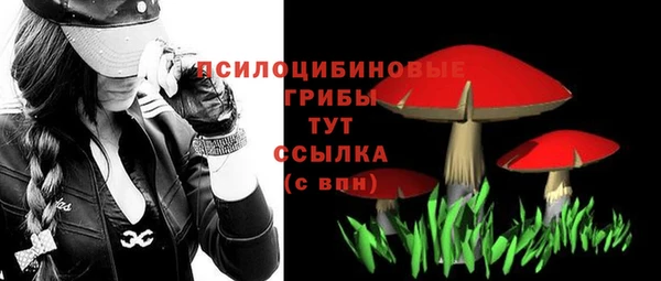 амфетамин Ельня