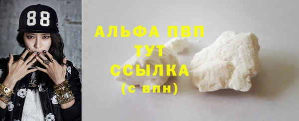 ПСИЛОЦИБИНОВЫЕ ГРИБЫ Елизово