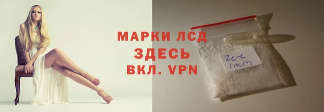 сатива Елабуга