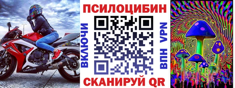 Купить закладки  Ельня  Галлюциногенные грибы мицелий 